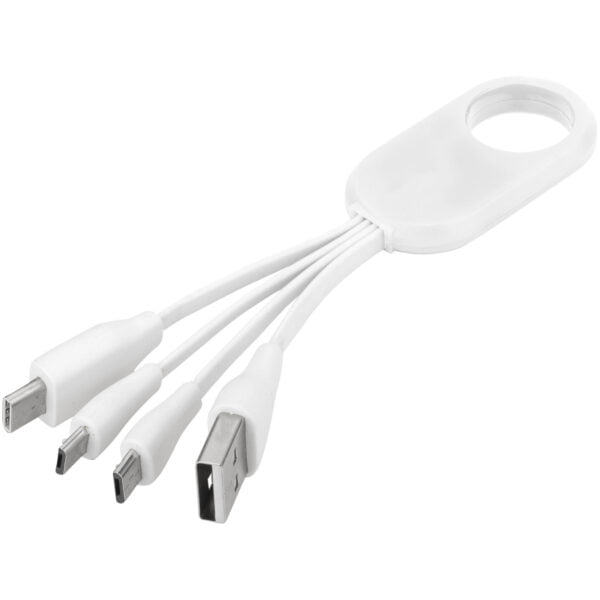 Troup 4 In 1 Charging Cable With Type C Tip